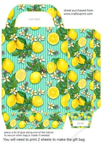 All about the lemons gift bag 3