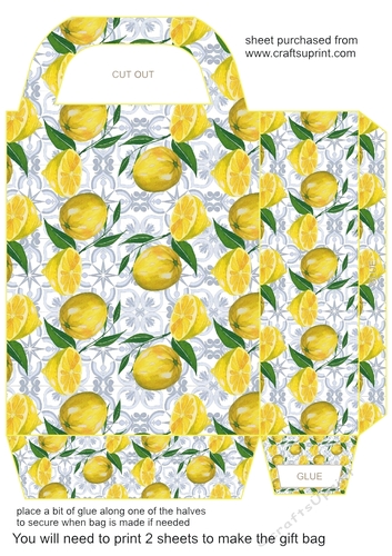 All about the lemons gift bag 4
