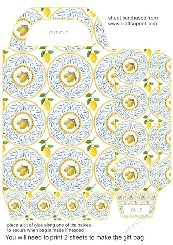 All about the lemons gift bag 5