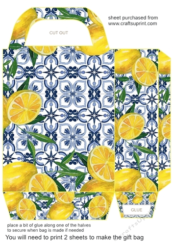 All about the lemons gift bag 6