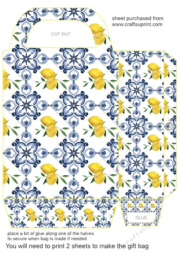 All about the lemons gift bag 7