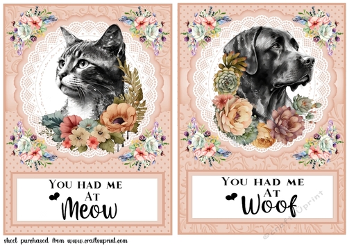 Cat and dog floral card fronts(with sentiment)