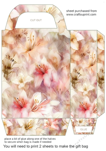 Soft floral gift bag 5