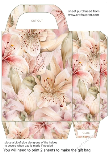 Soft floral gift bag 8