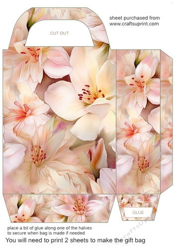 Soft floral gift bag 12