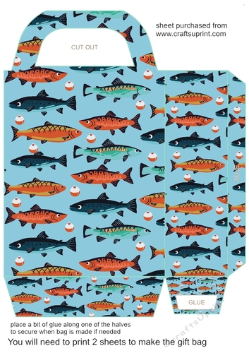 Fishing themed gift bag 12