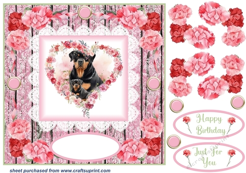 Pink carnation Mother and Baby card front 6