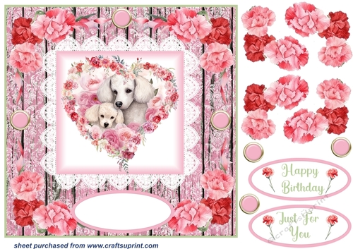 Pink carnation Mother and Baby card front 10