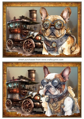 2 Steam punk Frenchie toppers 4