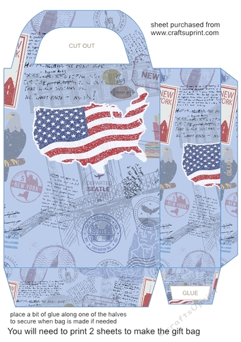 American themed gift bag