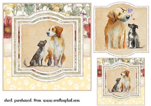 The look of love card front 1