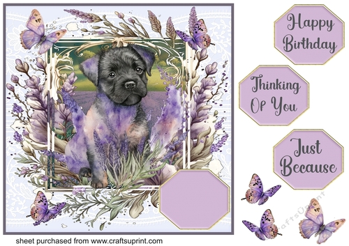 Pup in lavender card front 1