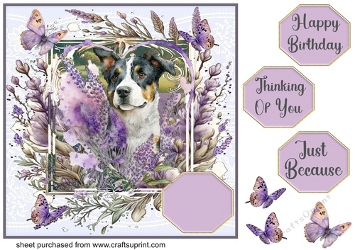 Pup in lavender card front 5