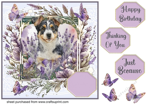 Pup in lavender card front 6