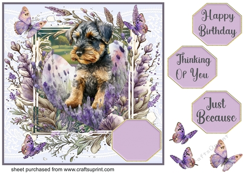 Pup in lavender card front 7