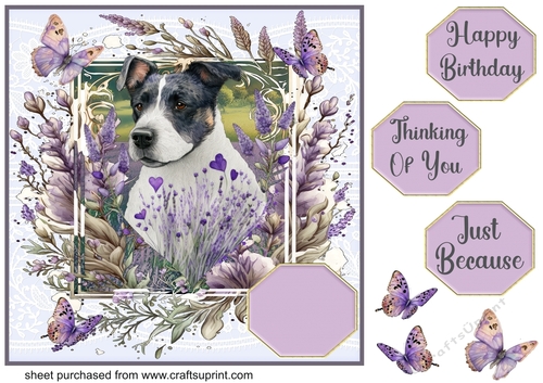 Pup in lavender card front 8
