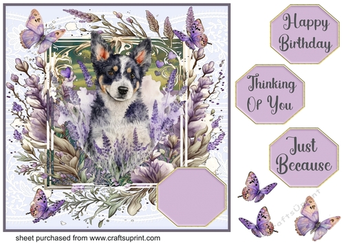 Pup in lavender card front 10