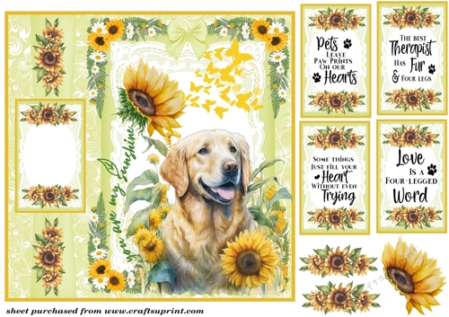 Sunflower pup card front 1