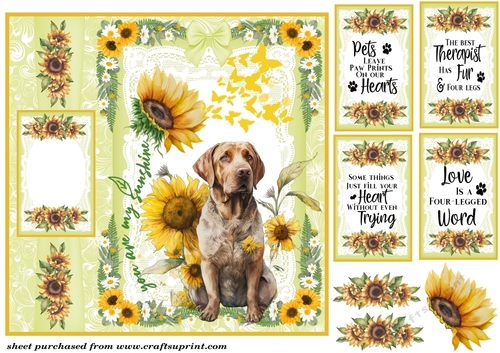 Sunflower pup card front 3