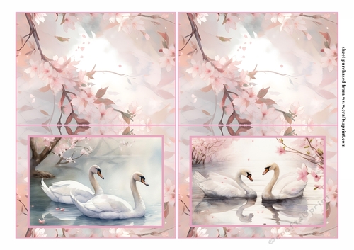 Pink pair of swans notelet 4