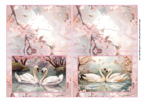 Pink pair of swans notelet 5