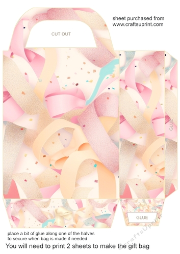 All about the ribbon gift bag 3