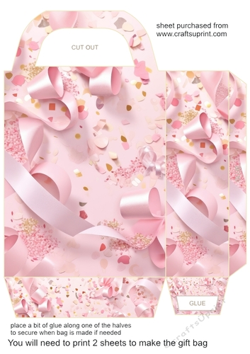 All about the ribbon gift bag 5