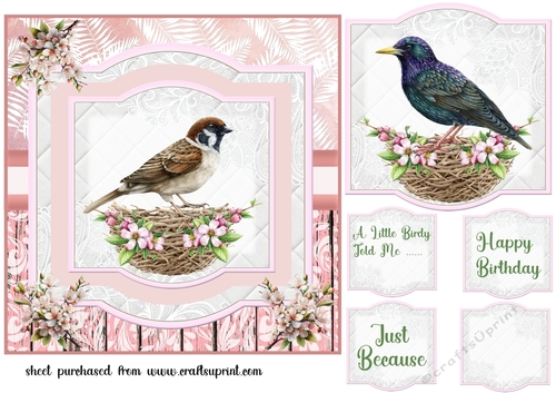 Cherry blossom bird card front 7