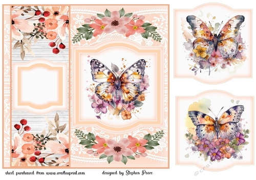 Peach butterfly card front