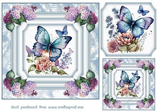 Blue butterfly card front 1