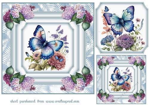 Blue butterfly card front 2
