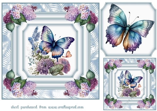Blue butterfly card front 3
