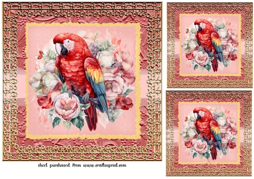 3 Framed red parrot card fronts/toppers 1
