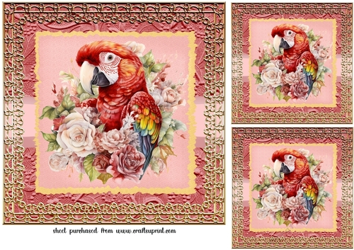 3 Framed red parrot card fronts/toppers 2