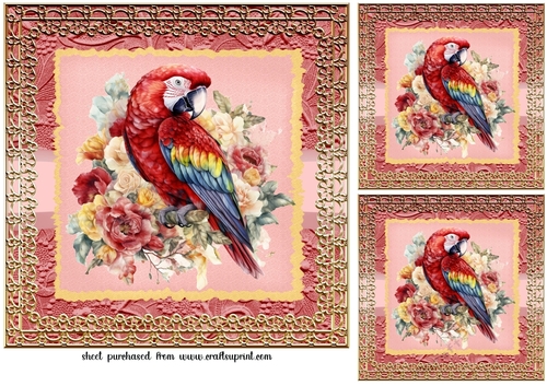 3 Framed red parrot card fronts/toppers 3