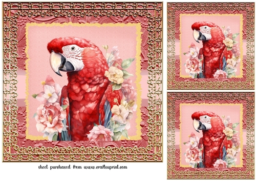 3 Framed red parrot card fronts/toppers 4