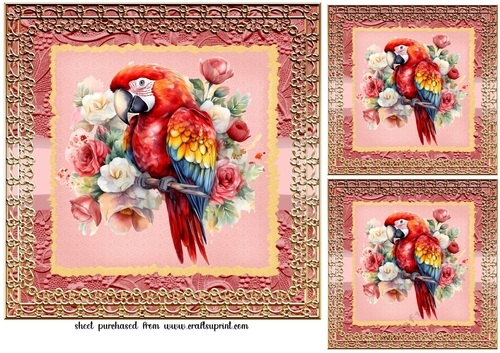 3 Framed red parrot card fronts/toppers 5
