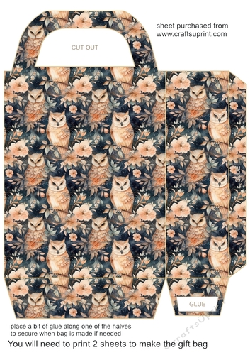 Orange owl gift bag 1