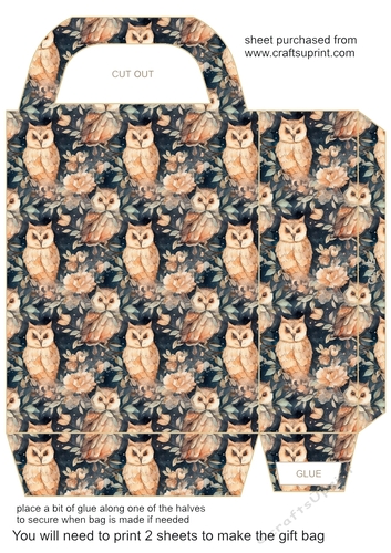 Orange owl gift bag 2