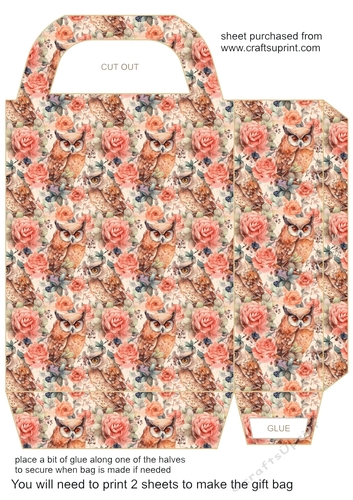Orange owl gift bag 3