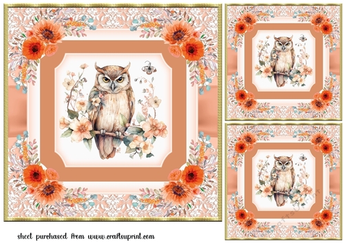 3 Orange owl card fronts/toppers 1