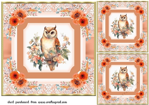 3 Orange owl card fronts/toppers 2