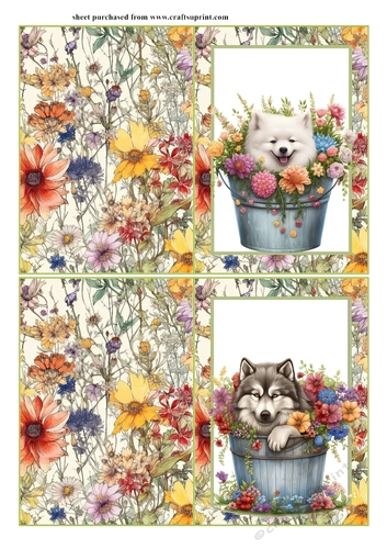 2 Pup in floral bucket notelets (with room for sentiment) 2