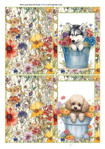 2 Pup in floral bucket notelets (with room for sentiment) 4