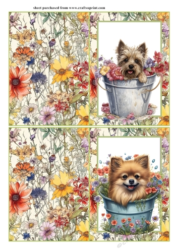 2 Pup in floral bucket notelets (with room for sentiment) 5