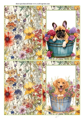 2 Pup in floral bucket notelets (with room for sentiment) 8