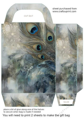Peacock feather gift bag 5