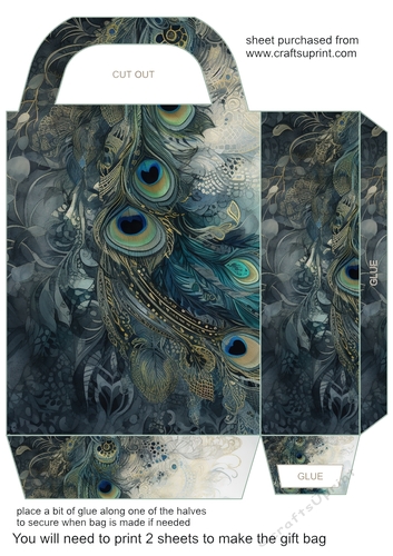 Peacock feather gift bag 6