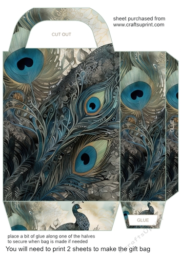 Peacock feather gift bag 9