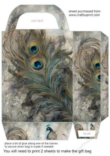 Peacock feather gift bag 11